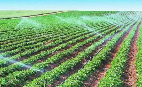 男人和女人啊啊啊的视频农田高 效节水灌溉